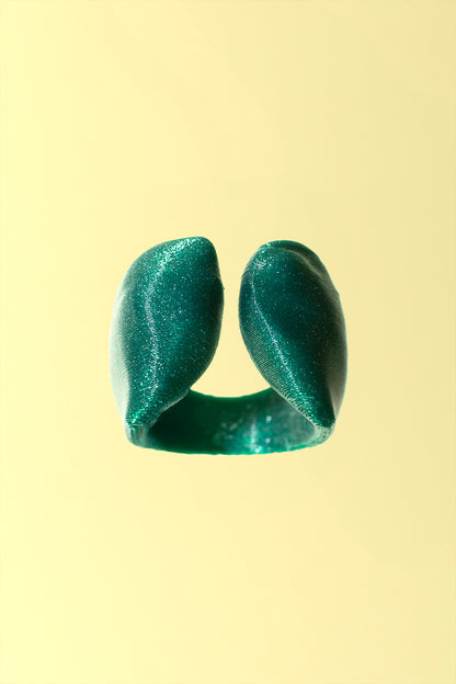 Anillo Chocolate chips