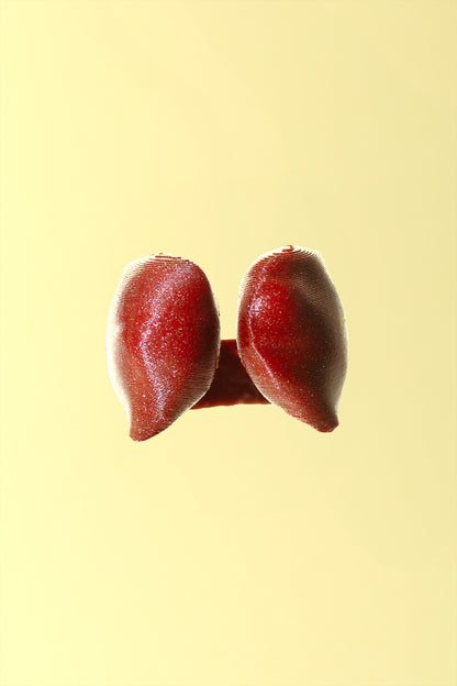 Anillo Chocolate chips