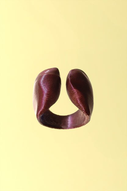 Anillo Chocolate chips